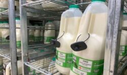 Shock as shoppers find Tesco place security tags on £1.65 milk amid cost of living crisis