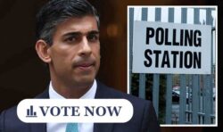 POLL: Should Rishi Sunak call an early general election?