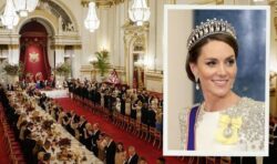 Kate and William follow strict royal custom by sitting exactly 45cm apart at state banquet