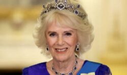 ‘Waiting so long for that tiara!’ Royal fans gush over Camilla’s jewels at State Banquet