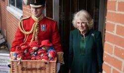 Camilla pictured delivering Paddington Bear teddies to children in sweet tribute to Queen