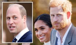 Prince William urged to call out Meghan and Harry’s ‘racist’ claims and prove them