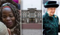 Buckingham Palace accused of ‘institutional racism’ as charity boss breaks silence