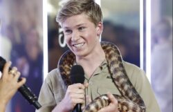 Steve Irwin’s son Robert, 18, cuddles up to Heath Ledger’s niece on cosy Queensland beach date 