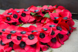 When should you stop wearing a poppy after Remembrance Day?