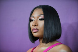 Megan Thee Stallion allegedly dehumanized after shooting incident, claims The Irish News