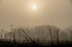 UK weather today 06/11