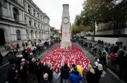 What do the colours on King Charles’ wreath mean? Royal wreaths explained