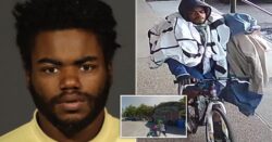 ‘Homeless man rapes and robs woman on a morning jog in New York City’