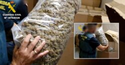 Police seize ‘biggest haul of cannabis ever found in Europe’