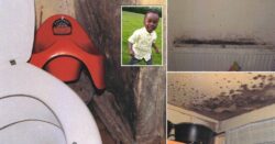 Inside the ‘disgusting’ mouldy home where boy, 2, died after struggling to breathe