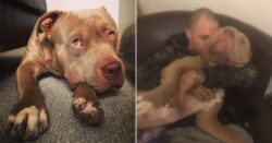 Man reunited with dog that was stolen when he collapsed on the street