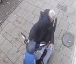 Pensioner who ran over pigeon in his mobility scooter insists he loves animals