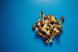 Drug found in magic mushrooms can treat severe depression, trial suggests