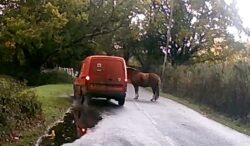 Royal Mail van almost hits a pony during risky overtake on country road