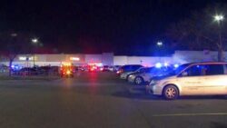 US shooting: Man kills up to 10 in Virginia Walmart store