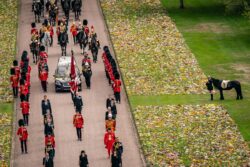 Emma, the late Queen’s favourite riding pony, wins Horse of a Lifetime award