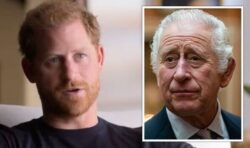 King ‘might have to take action and strip titles’ to clamp down on Prince Harry’s attacks