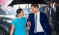 Harry and Meghan’s Netflix documentary dubbed ‘narcissistic woe is me’ tearjerker