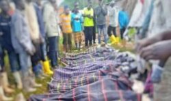 272 killed in Kishishe massacre including 17 children – rebels deny responsibility