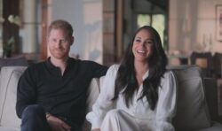 Netflix ‘probably really angry’ at Meghan & Harry as Oprah interview ‘got all juicy stuff’