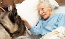 ‘Magical’ moment 95-year-old mother with dementia meets reindeer inside care home