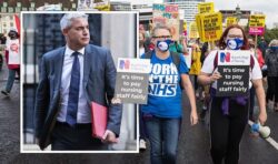 ‘They’ve had enough!’ Nurses strike ‘as much for patients as for ourselves’ as fury erupts