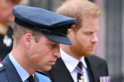 Prince William and Prince Harry to exchange Christmas gifts despite Netflix feud