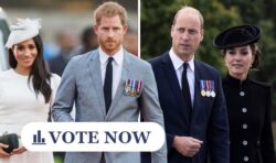 Royal POLL: Do you agree Harry and Meghan ‘did job better’ than other Firm members?