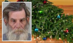 Man throws Christmas tree at wife after being asked to help with dinner