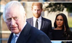 Meghan and Harry fresh salvo fears as Royals are warned to brace for more revelations