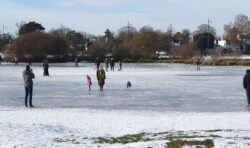 London Fire Brigade in urgent plea as ‘very young’ children spotted walking on frozen pond