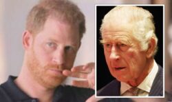 Charles ‘to make decision’ on Archie and Lilibet’s titles after Harry’s memoir published