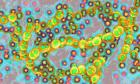 UK parents told to look out for signs of strep A in their children after six deaths