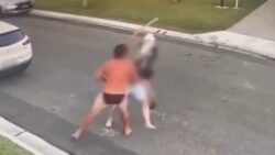 Man fights off suspected thieves in his underwear on Boxing Day