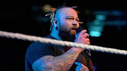 WWE star Bray Wyatt reveals new style as he wrestles first match in 20 months