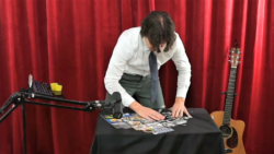 Twitch streamer eats 33 beetles while doing jigsaw puzzle on a vibrating table