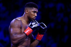 ‘It will definitely happen’ – Anthony Joshua confident of 2023 showdown with Deontay Wilder