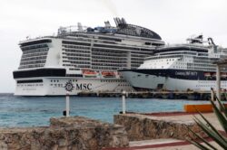 Woman falls off cruise ship to her death and fight erupts among passengers on board