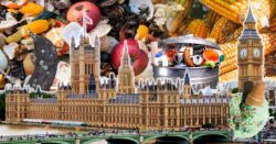 More than 250 tonnes of food was thrown away by parliament this year 