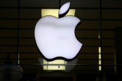 Apple sees biggest fall in sales for a year