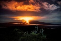 Lava flows from world’s largest volcano Mauna Loa within 4 miles of major highway