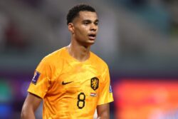 Manchester United to open talks with PSV over Cody Gakpo transfer