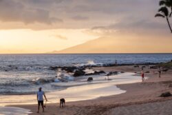 Wife disappears after husband fights off shark while they were snorkeling