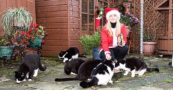 Woman with 21 cats spends £400 a month on her pampered pets