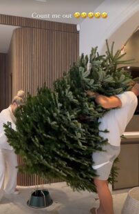 Molly-Mae Hague happily dubs her and Tommy Fury’s Christmas tree ‘a mess’ as they finally decorate for the festive season