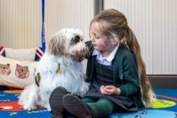 Sickly puppy Chilli goes from car boot sale to therapy dog – along with her brother Bean