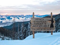 Skier rescued after avalanche buries and carries them 500 yards
