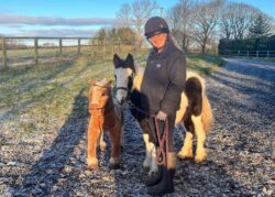 Abandoned pony makes friend with stuffed horse toy after being rescued