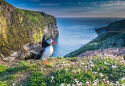 Wildlife Trust’s review of the year marks new discoveries and ongoing threats